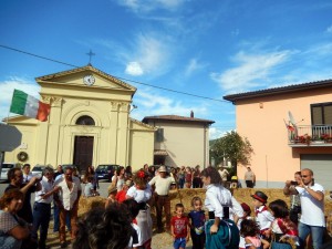 treb Tornimparte (44)